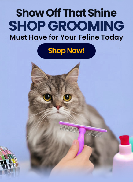 product-menu-Cat