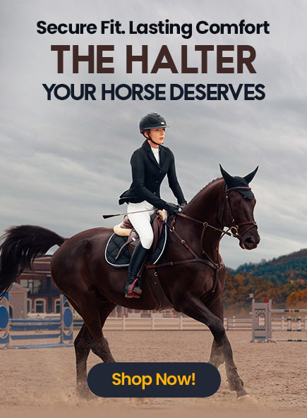 product-menu-horse